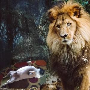 Meet your Posher, Scott